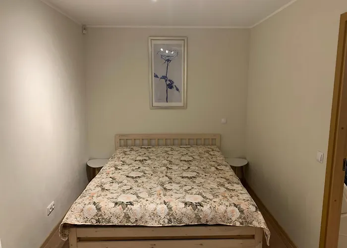 Dikol Two-room Apartment-self Check-in & Free Parking Near Center アパート *